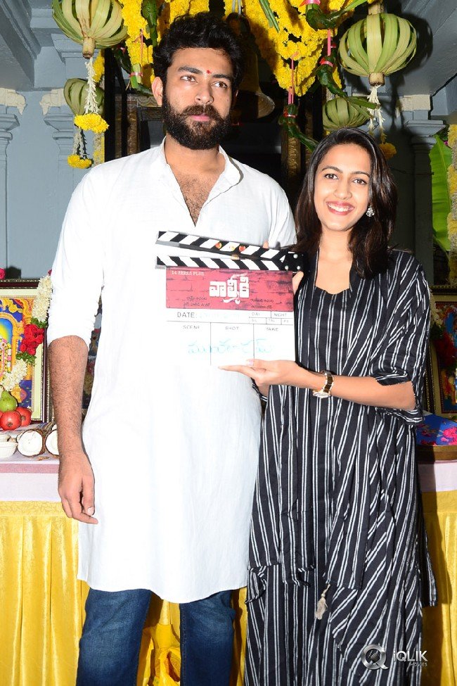 Valmiki-Movie-Opening-Stills